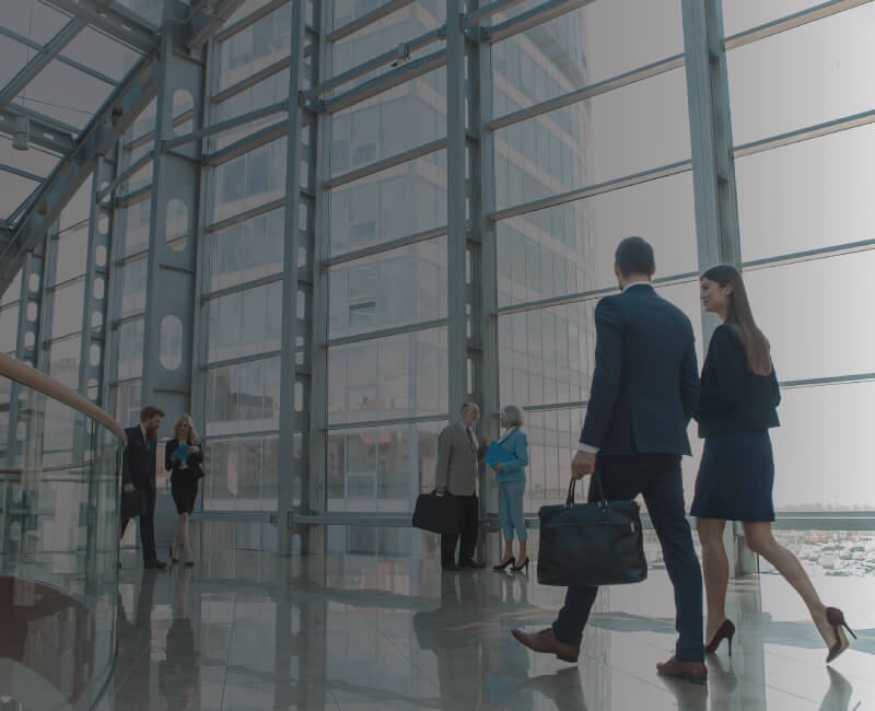 Empower Your Business Strategy with Globalserve Consultants' Cutting-Edge Business Consultancy Services