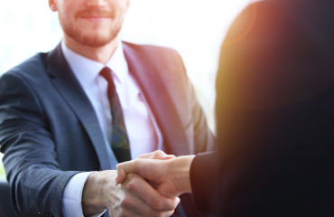 Consultant and businessman shaking hands