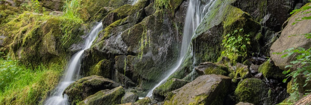 MOVING FORWARD ON WATER, THE DRIVING ROCKY FIELDS